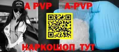 сатива Новозыбков
