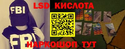 сатива Новозыбков