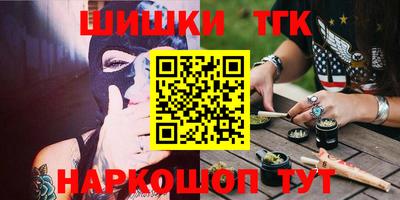сатива Новозыбков