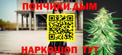 сатива Новозыбков