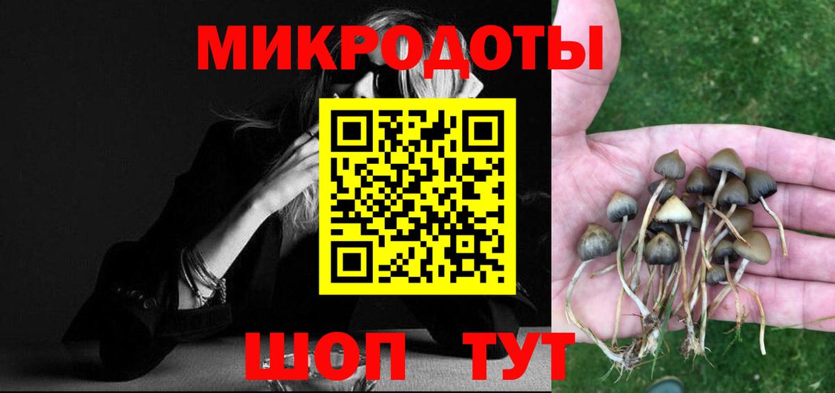 Псилоцибиновые грибы Magic Shrooms  Вход с VPN  Удомля 
